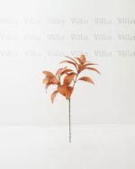 غصن ورد - Leaf