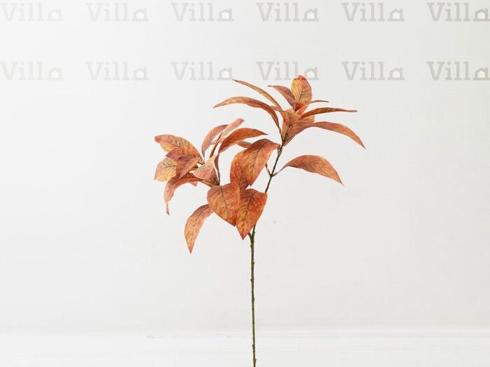 غصن ورد - Leaf