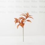غصن ورد - Leaf