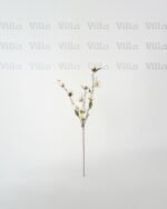 غصن ورد - Magnolia