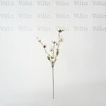 غصن ورد - Magnolia