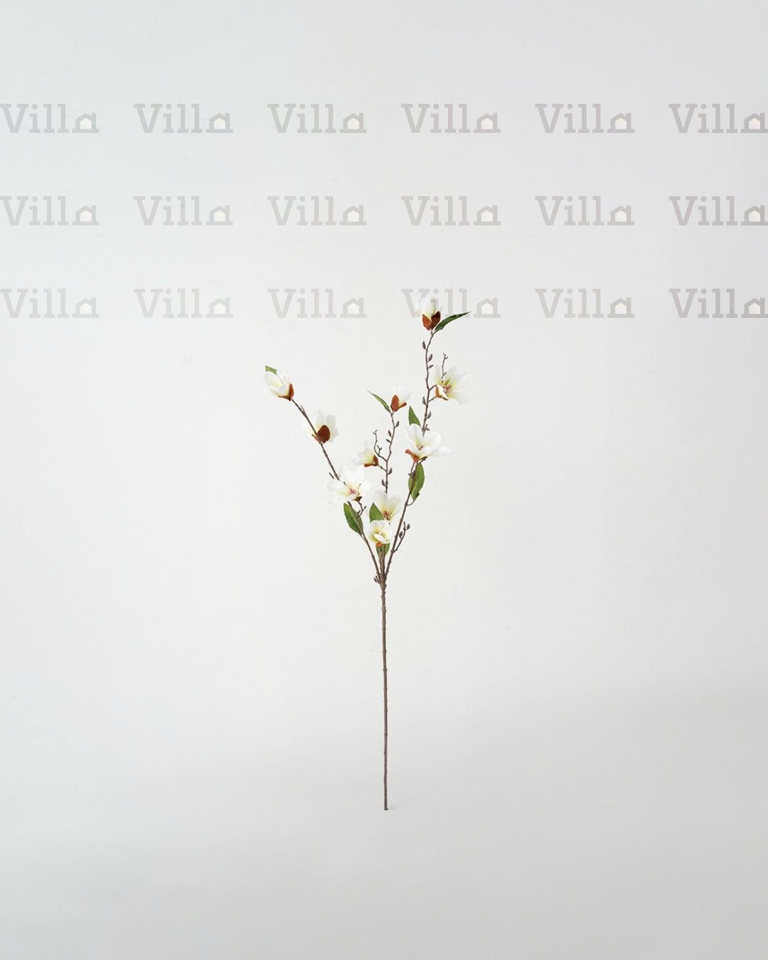 WhatsApp Image 2026-01-22 at 2.49.56 PM (4) غصن ورد - Magnolia - الصورة 1