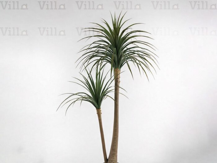 شجر صناعي - Yucca