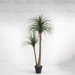 شجر صناعي - Yucca