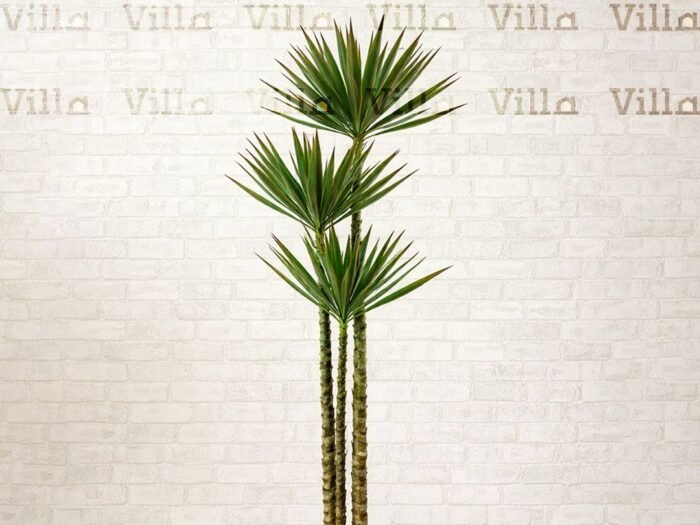 شجر صناعي - Agave