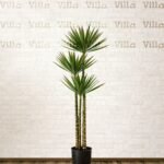 شجر صناعي - Agave