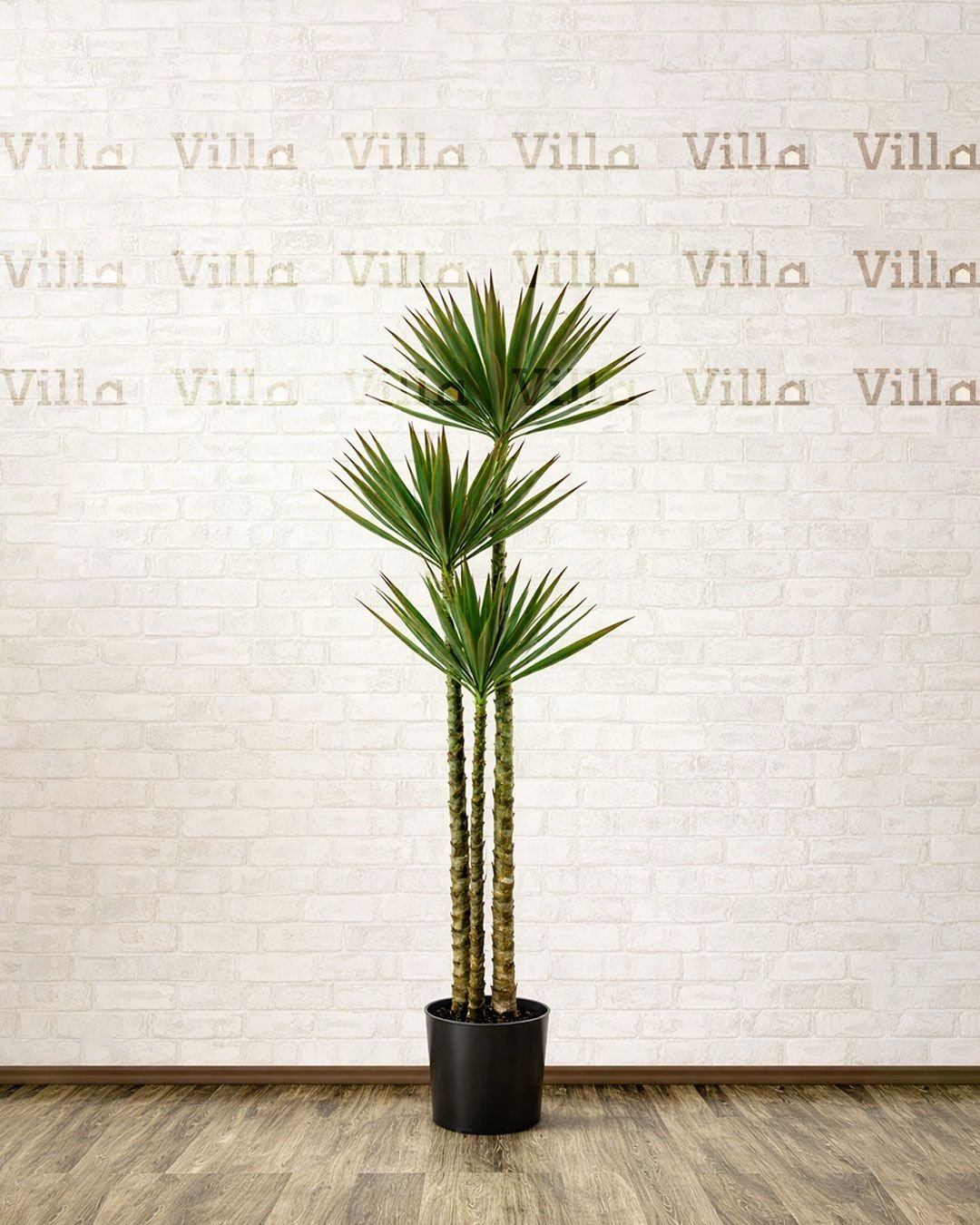 WhatsApp Image 2026-01-24 at 12.27.59 PM شجر صناعي - Agave - الصورة 1