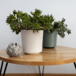 قوارير زراعة - Donica GAMA Textil