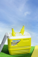 ⁦ثلاجة رحل هندي - Primero 32LT⁩ - الصورة ⁦3⁩