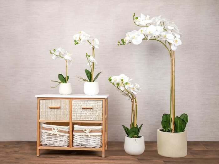 مزهرية ورد أبيض - Nopsis