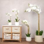 مزهرية ورد أبيض - Nopsis