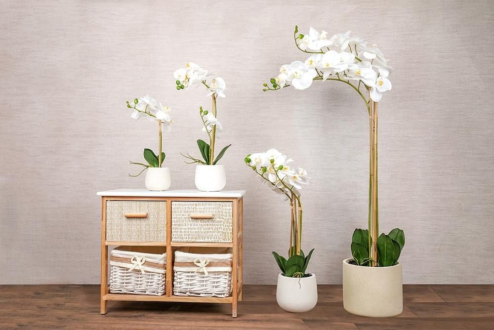 cm3oabzqi18g701kfc9q6bnxf_92YrYm2aZBn48jnRO5zJ-3.jpg مزهرية ورد أبيض - Nopsis - الصورة 1