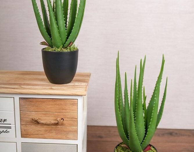 شجر صناعي - Aloe Vera