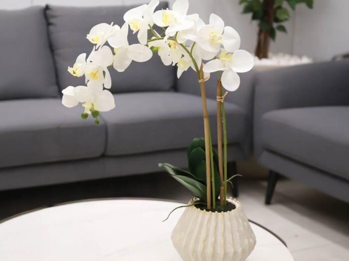 مزهرية ورد - Lunaria White