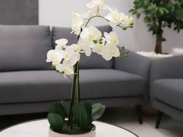 مزهرية ورد - Cascade White