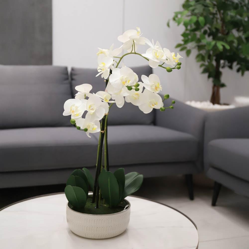 NlTVbGuyO3rKHEpI8N50 مزهرية ورد - Cascade White - الصورة 1