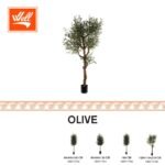 شجر صناعي - OLIVE