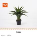 شجر صناعي - SISAL