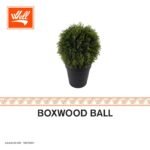 شجر صناعي - BOXWOOD BALL