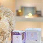 شمع معطر 220 غرام - Bourgo