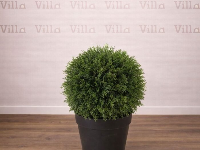 شجر صناعي - BOXWOOD BALL