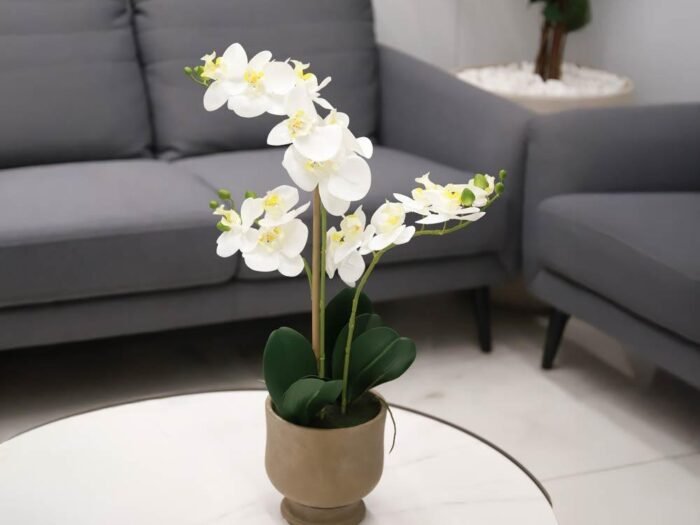 مزهرية ورد - Ivoria White