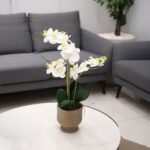 مزهرية ورد - Ivoria White