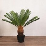 مزهرية شجرة - Saga