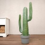 مزهرية شجرة - Cactus