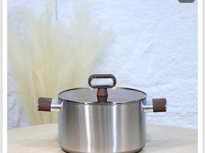 طنجرة ستانلس وجه تيتانيوم مع غطاء زجاجي عسلي ويد مقبض خشبي